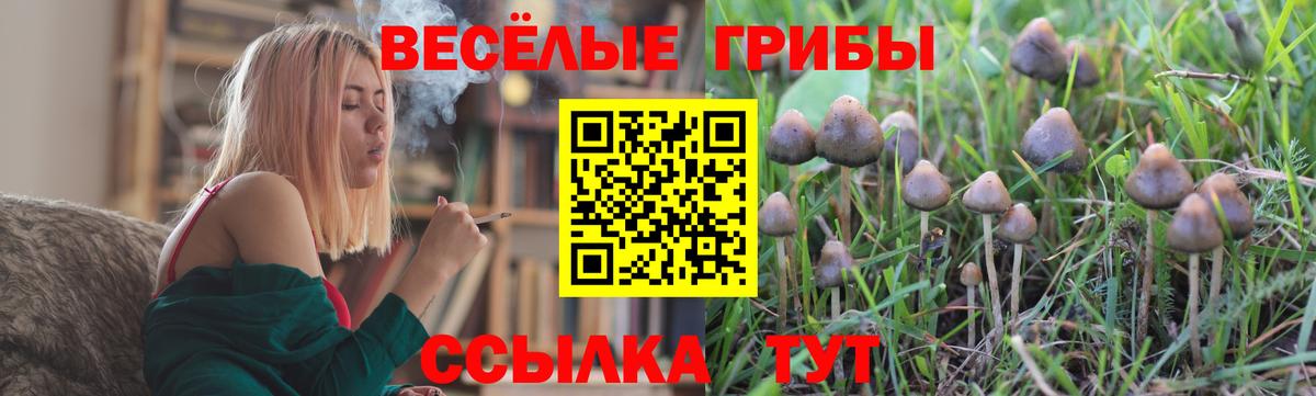 Псилоцибиновые грибы Magic Shrooms  Вход с VPN  Галлюциногенные грибы ЛСД  Добрянка 